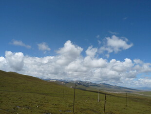 草原蓝天与白云美景