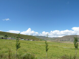 草原风光 蓝天白云下的绿意