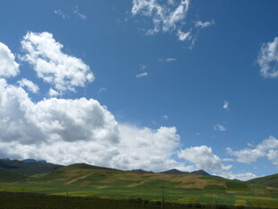 蓝天白云下的绿色原野