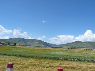 草原风光 蓝天白云下的美景
