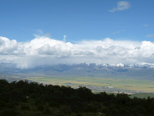 蓝天白云下的广袤原野
