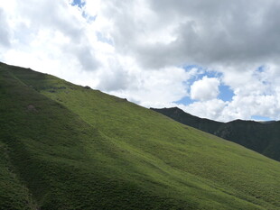 翠绿山坡与蓝天白云