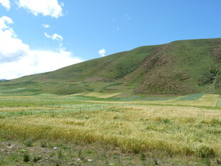 草原山丘蓝天美景