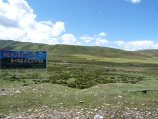 草原上的蓝色醒目广告牌