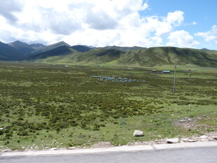 公路旁的广袤绿色山野