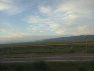 公路旁的田野与蓝天白云