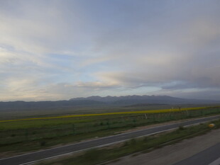 公路旁的田野与天边云彩