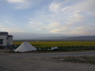 田野边的白色帐篷景观