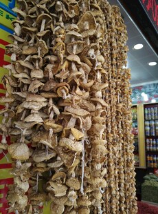 干货店悬挂的特色干菜