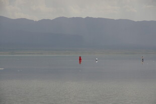 湖面远景中的红色标志物