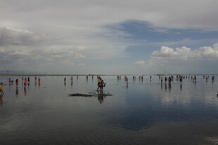水上活动场景 众人乐在其中