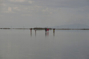 水上木屋 静谧广阔水域