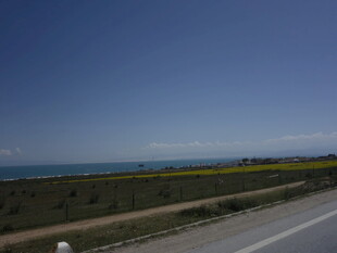 公路旁的蓝天与烂漫花田