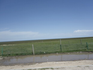 草原风光 围栏边的开阔景致