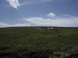 草原风光 远处有几座帐篷