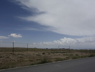 空旷公路旁的开阔风景