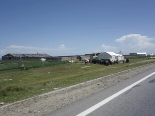 公路旁的开阔田园景象