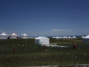 草原上的白色帐篷群落