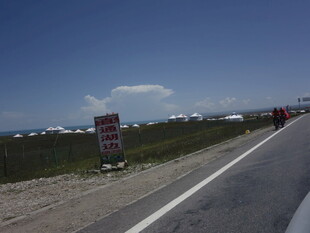 公路旁的禁止停车标志牌