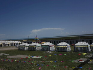 草原上排列的白色蒙古包