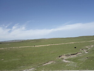 草原风光 开阔天地美景