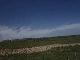 草原蓝天风景图
