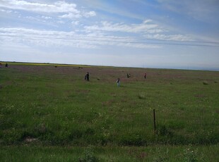 草原上的人群与开阔风景