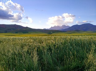 广袤草原与远处山峦美景