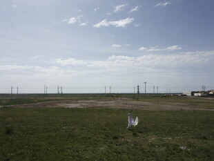 广阔草原上的风力发电场景
