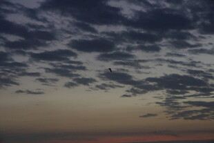 黄昏时分天空中的云朵