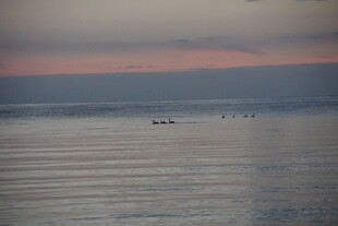 黄昏下平静的海面景象