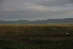 黄昏下的草原与远山景色