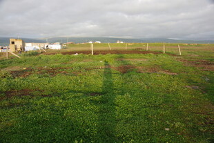 草原风光 远处小屋与围栏