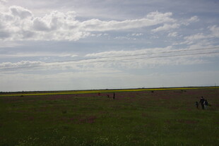 草原风光 远行者的诗意天地