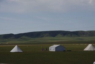 草原上的白色帐篷景观