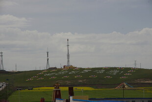 草原风光与通信塔