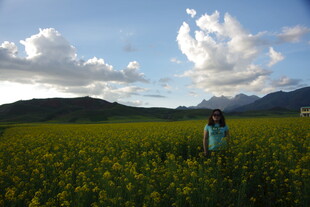 田野中的独行者