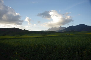 田野风光 远山与蓝天