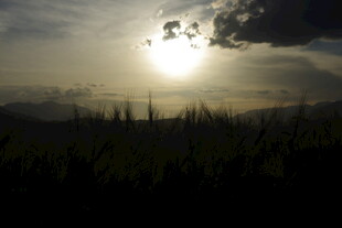 日落时分的田野风光