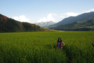 女孩置身绿色田野赏景