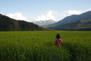 女孩漫步于绿色田野之间