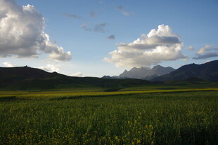 草原远山蓝天美景
