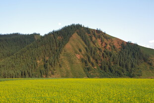草原山峦间的壮美风光