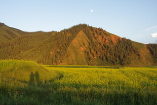 山间绿野 夕阳下的自然美景
