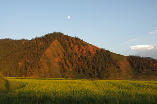 山间田野的黄昏美景