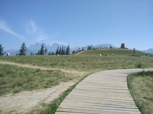 山间木栈道 漫步好风光