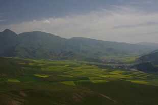 山间油菜花海美丽风光