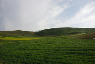 广袤绿野 云下田园风光