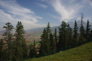 山林云雾间的清新景致