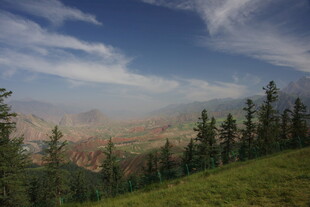 山间美景 葱郁林木映蓝天